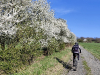 img_20250403_170214