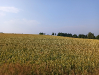 img_20210708_182910