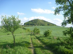 P1120251