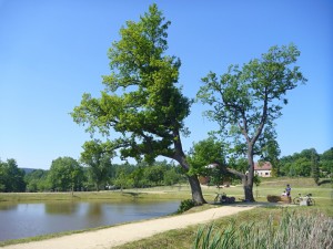 rekonstruovaný zámecký park